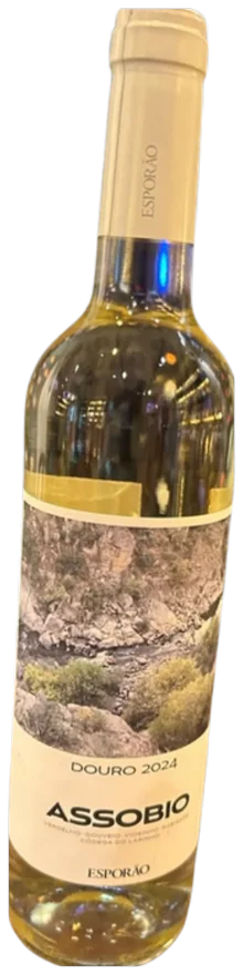 Assobio Douro 2024