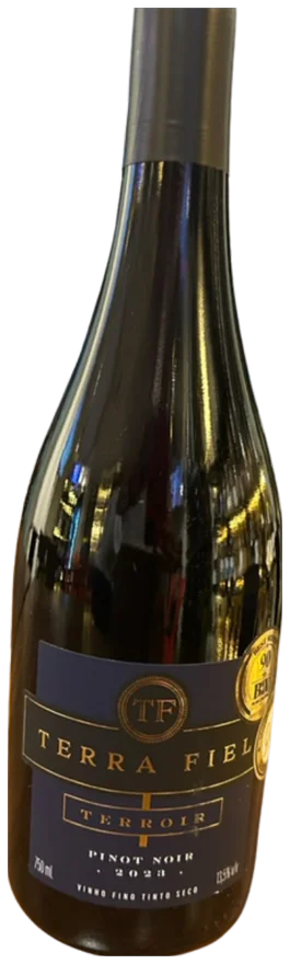 Terroir TF Pinot Noir 2023